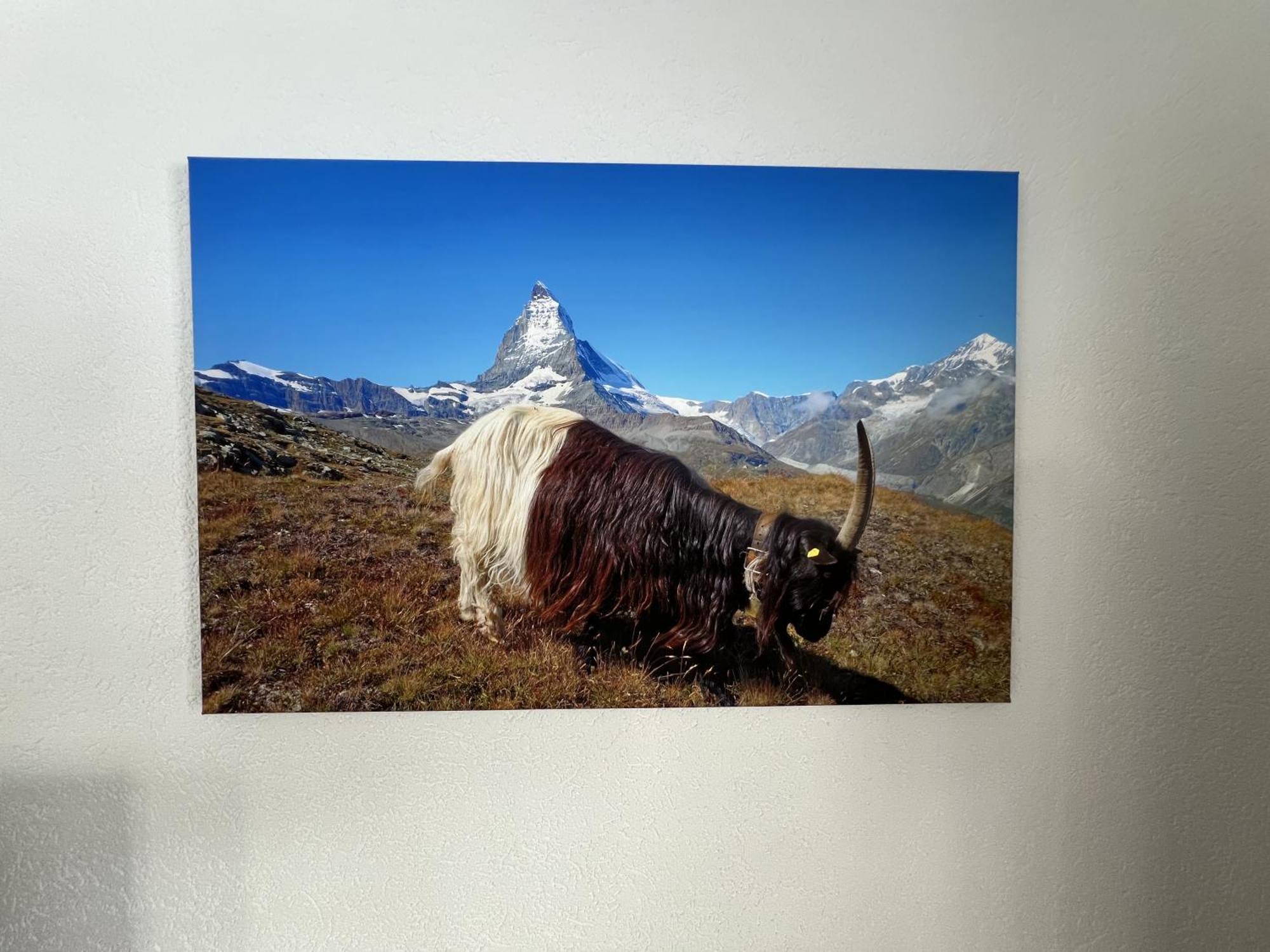 Haus Vira Apartment Zermatt Exterior photo